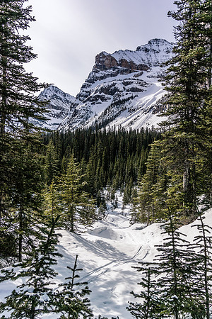 We finally start gaining some serious height just before the avy slope.
