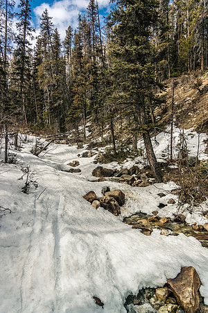 A serious lack of snow further down the Chickadee Valley. I think the ski season is almost done here.
