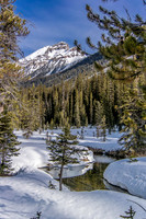 Beautiful spring weather in the Chickadee Valley.
