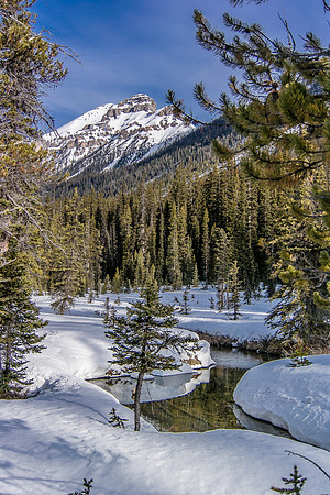 Beautiful spring weather in the Chickadee Valley.