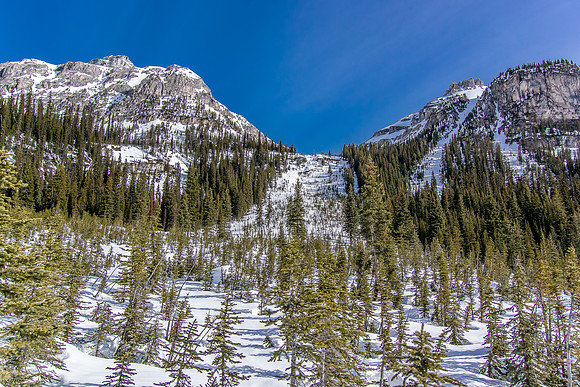 Looking up the avy slope that we used to gain the hanging valley.