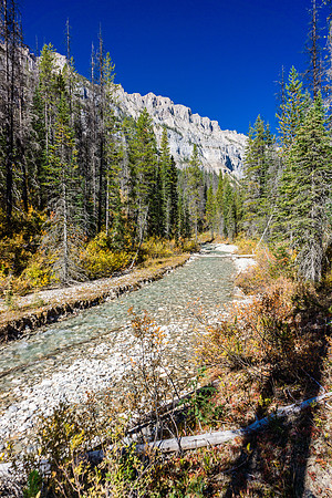 The Assiniboine Creek trail.