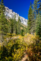 The Assiniboine Creek trail.