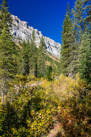 The Assiniboine Creek trail.