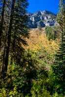 The Assiniboine Creek trail.