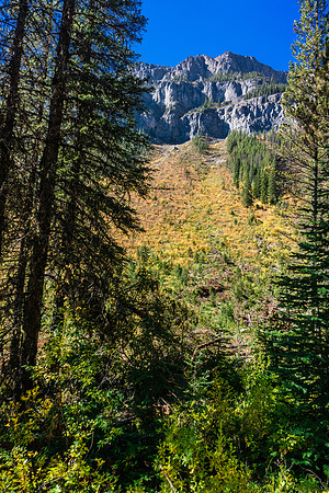 The Assiniboine Creek trail.