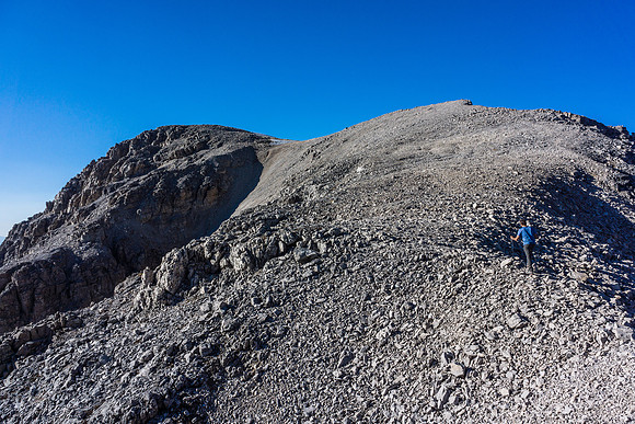 Just another darn scree grunt!