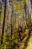 The trail up Assiniboine Creek is awesome, especially with the fall colors at their peak.