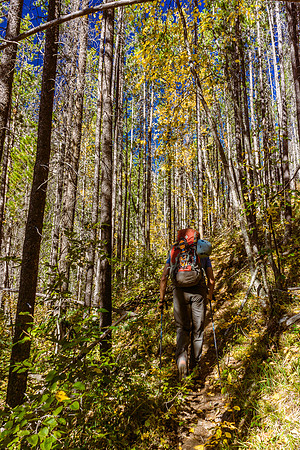 The trail up Assiniboine Creek is awesome, especially with the fall colors at their peak.