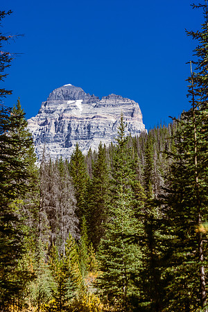 The mighty "A" reveals her SW side as we round the trail towards Assiniboine Lake. Assiniboine on the left and Lunette on the right.