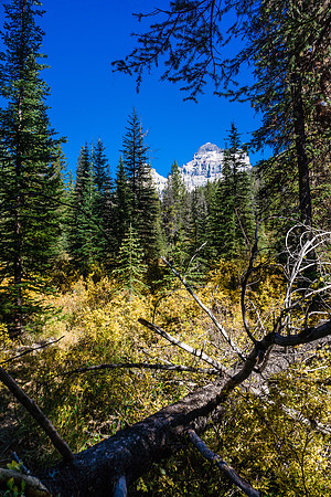 The mighty "A" reveals her SW side as we round the trail towards Assiniboine Lake. Assiniboine on the left and Lunette on the right.
