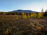 Hiking towards the west face of Mount Cautley through alpine meadows.