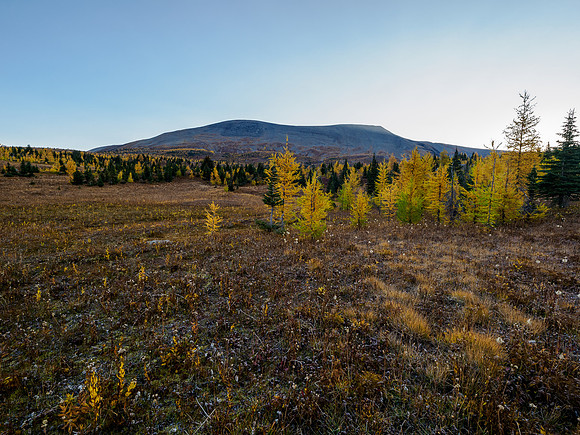 Hiking towards the west face of Mount Cautley through alpine meadows.