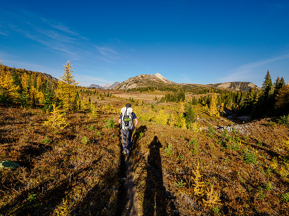 Hiking from Citadel Pass to Howard Douglas Lake.