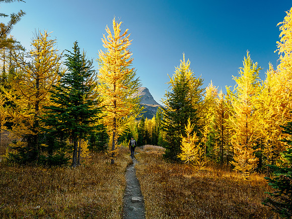 Hiking from Wonder Pass to Og Lake.