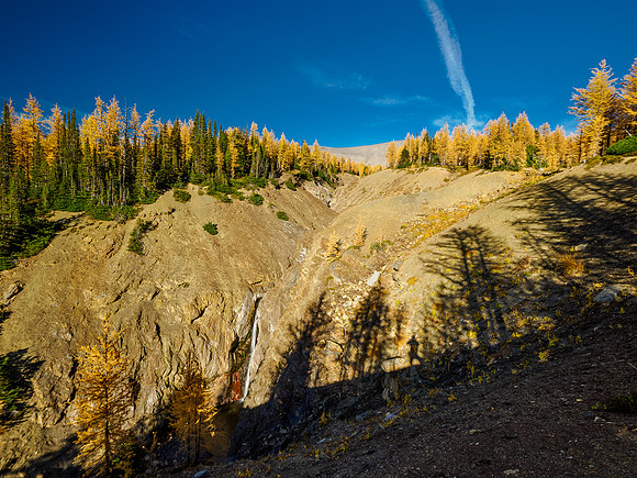 Incredible larch scenery on the Wonder Pass Trail.