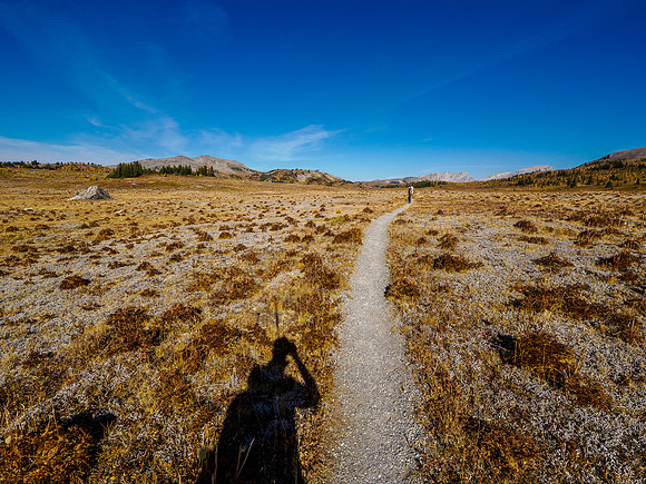 Hiking Sunshine Meadows.