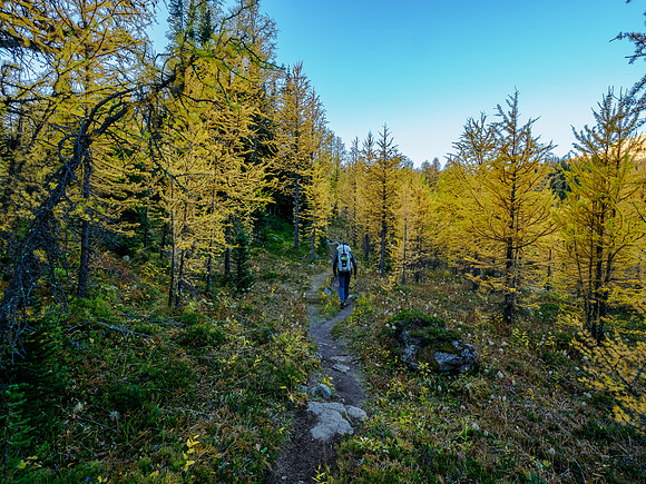 Hiking through Citadel Pass.
