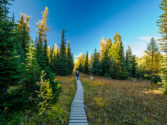 Hiking from Wonder Pass to Og Lake.
