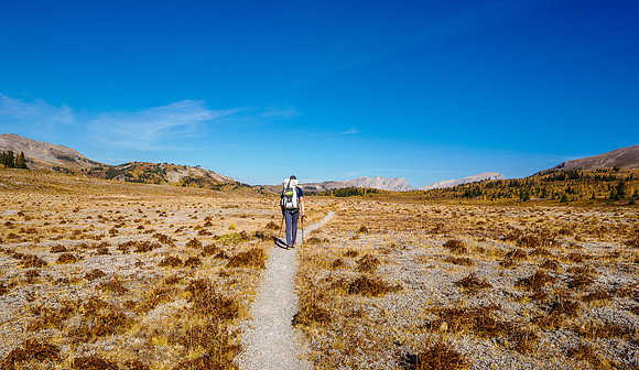 Hiking Sunshine Meadows.