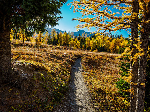 Hiking from Wonder Pass to Og Lake.