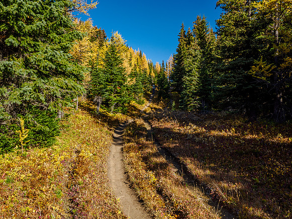 Hiking from Citadel Pass to Howard Douglas Lake.