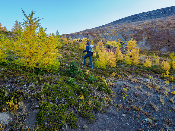 Hiking towards the west face of Mount Cautley through alpine meadows.