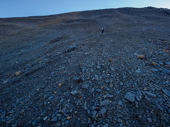 Ascending SW scree slopes to the NW ridge of Mount Cautley.