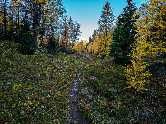 Hiking through Citadel Pass.