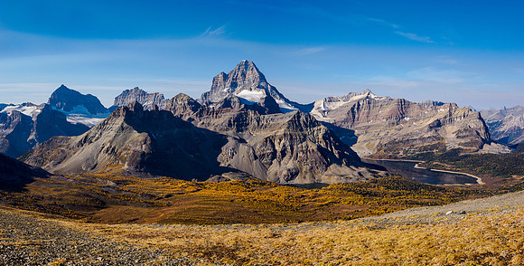 Mount Assiniboine core area and larches.