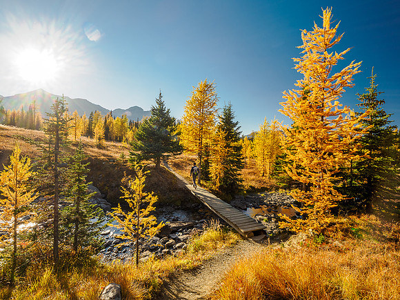 Hiking from Wonder Pass to Og Lake.