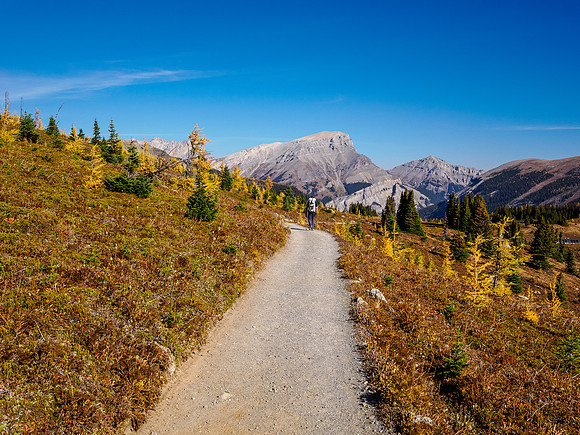Hiking Sunshine Meadows.