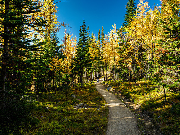 Hiking from Wonder Pass to Og Lake.