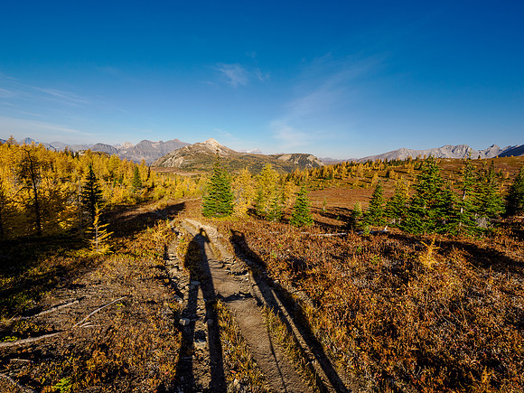 Hiking through Citadel Pass.