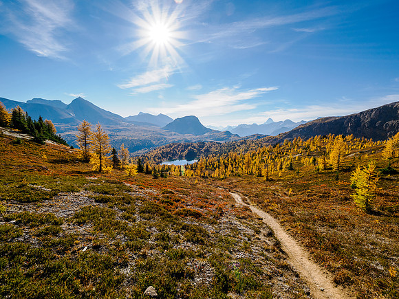 Hiking Sunshine Meadows.