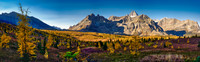 Views over the Cautley meadows to Mount Assiniboine and Wonder Pass.