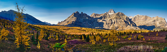 Views over the Cautley meadows to Mount Assiniboine and Wonder Pass.