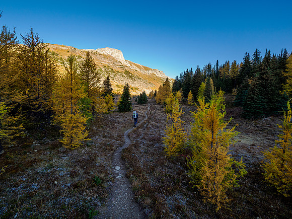 Hiking through Citadel Pass.