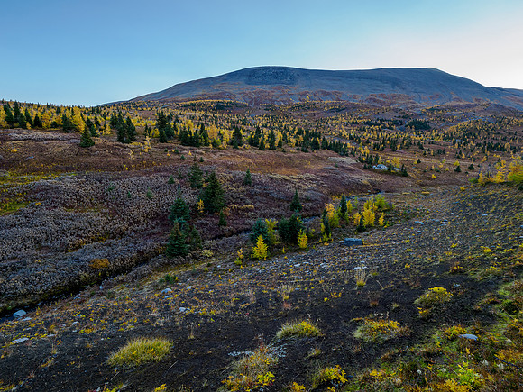 Hiking towards the west face of Mount Cautley through alpine meadows.