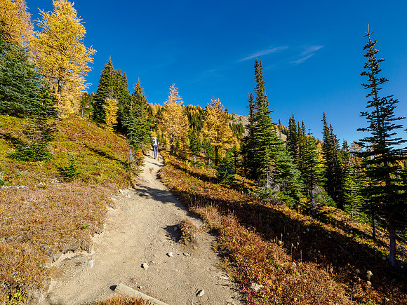 Hiking Sunshine Meadows.