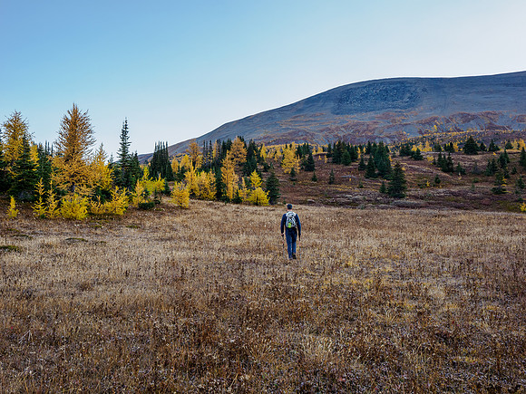 Hiking towards the west face of Mount Cautley through alpine meadows.