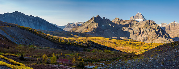 Views over the Cautley meadows to Mount Assiniboine and Wonder Pass.