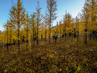 Hiking towards the west face of Mount Cautley through alpine meadows.