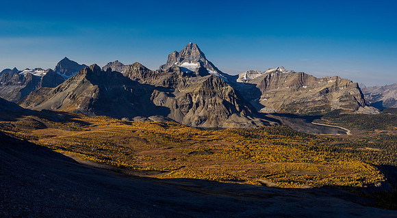 Views over the Cautley meadows to Mount Assiniboine and Wonder Pass.