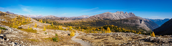 Hiking Sunshine Meadows.