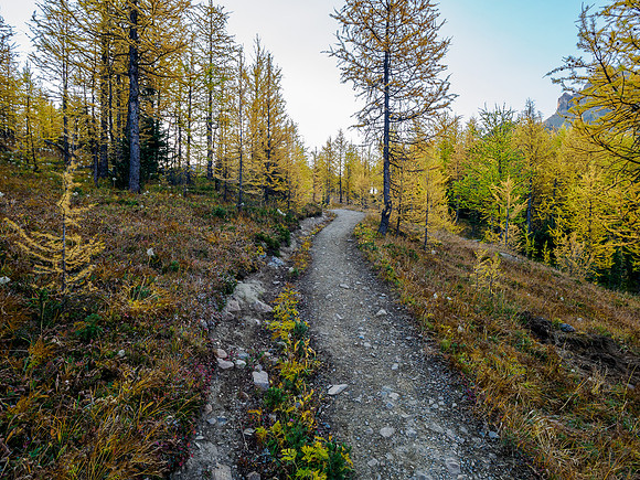 Hiking from Lake Magog up the Wonder Pass Trail.