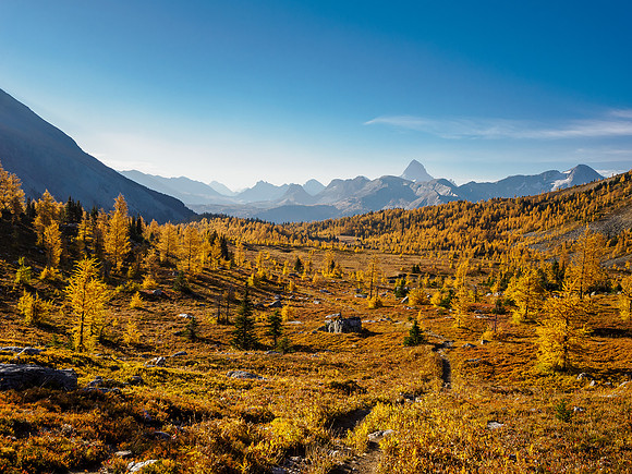 Hiking through Citadel Pass.