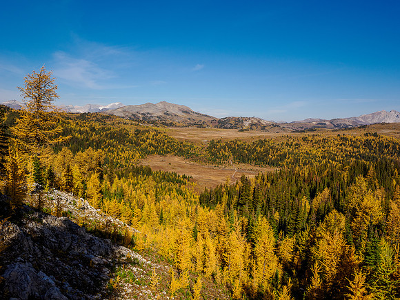 Hiking Sunshine Meadows.
