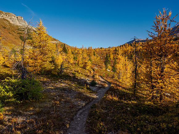 Hiking through Citadel Pass.