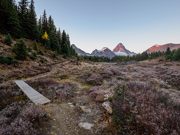 Early morning hike from Og Lake to Lake Magog. Sunrise on Mount Assiniboine.